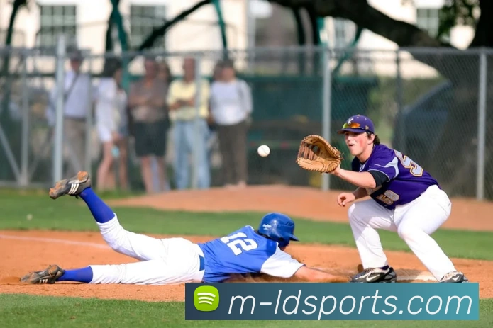 App Interface Preview