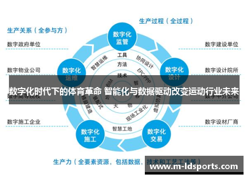 数字化时代下的体育革命 智能化与数据驱动改变运动行业未来