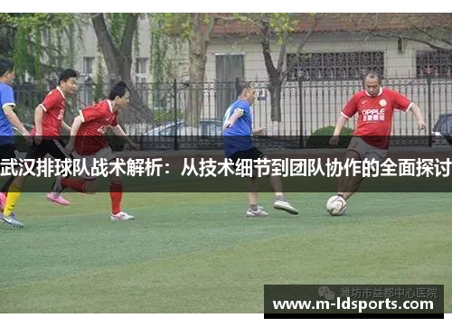 武汉排球队战术解析：从技术细节到团队协作的全面探讨